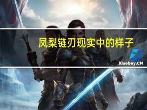 凤梨链刃现实中的样子（反乱猎人x攻略）