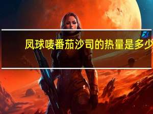 凤球唛 番茄沙司的热量是多少