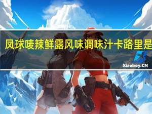 凤球唛 辣鲜露风味调味汁卡路里是多少