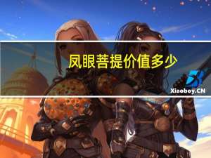 凤眼菩提价值多少