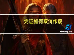 凭证如何取消作废