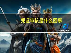 凭证审核是什么回事