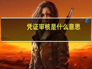 凭证审核是什么意思
