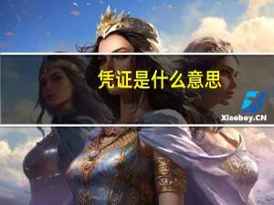 凭证是什么意思