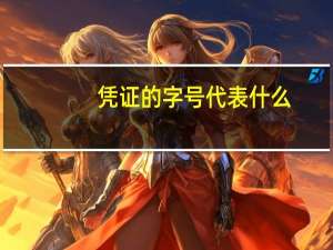 凭证的字号代表什么