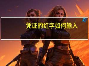 凭证的红字如何输入