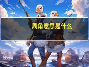 凮角意思是什么