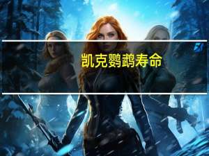 凯克鹦鹉寿命