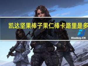 凯达 坚果棒子果仁棒卡路里是多少