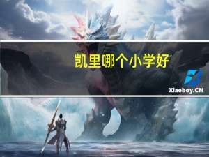 凯里哪个小学好