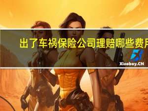 出了车祸保险公司理赔哪些费用