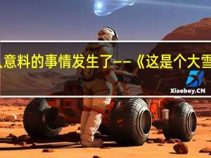 出人意料的事情发生了——《这是个大雪天》导读