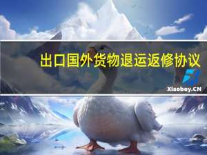 出口国外货物退运返修协议（出口国外货物退运返修）