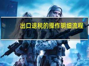 出口退税的操作明细流程