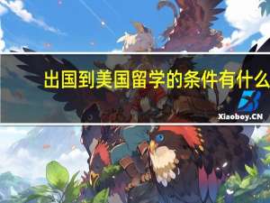 出国到美国留学的条件有什么