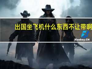 出国坐飞机什么东西不让带啊