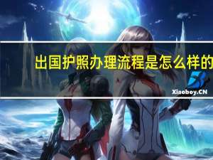 出国护照办理流程是怎么样的