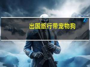 出国旅行带宠物狗