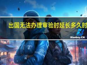 出国无法办理审验时 延长多久时间