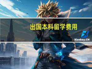 出国本科留学费用