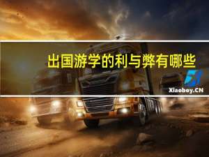 出国游学的利与弊有哪些