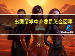 出国留学中介费是怎么回事