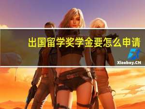 出国留学奖学金要怎么申请