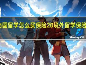 出国留学怎么买保险 境外留学保险怎么买