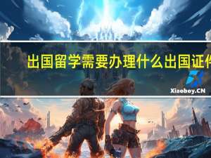 出国留学需要办理什么出国证件