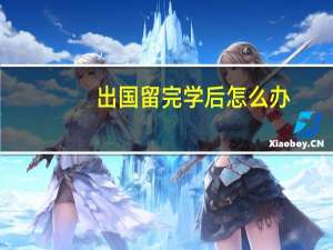出国留完学后怎么办