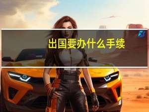 出国要办什么手续