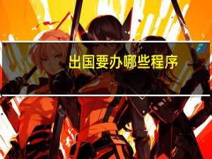 出国要办哪些程序