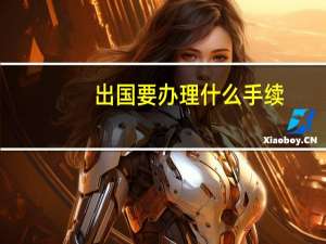 出国要办理什么手续
