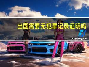 出国需要无犯罪记录证明吗