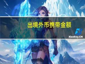 出境外币携带金额