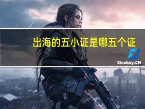 出海的五小证是哪五个证