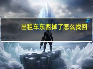 出租车东西掉了怎么找回
