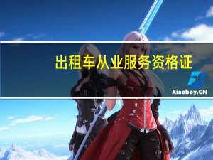 出租车从业服务资格证