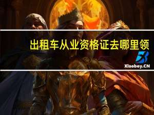 出租车从业资格证去哪里领