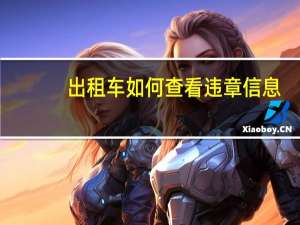 出租车如何查看违章信息