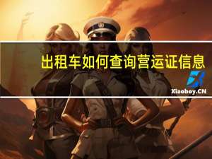 出租车如何查询营运证信息