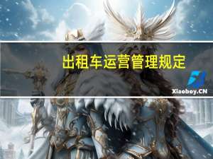出租车运营管理规定