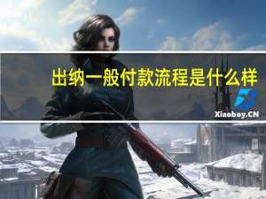 出纳一般付款流程是什么样
