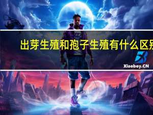 出芽生殖和孢子生殖有什么区别