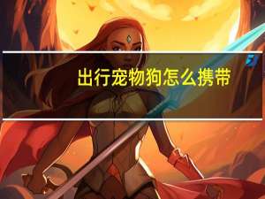 出行宠物狗怎么携带