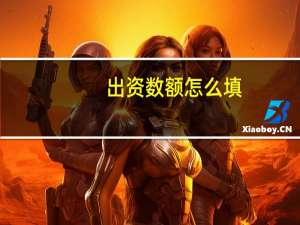 出资数额怎么填