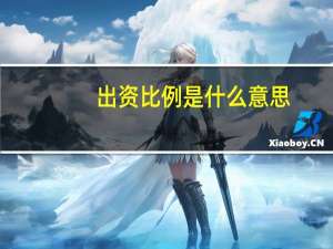 出资比例是什么意思