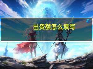 出资额怎么填写