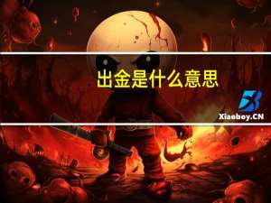 出金是什么意思