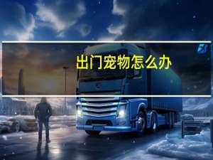 出门宠物怎么办